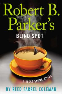 Robert B. Parker's Blind Spot Read online