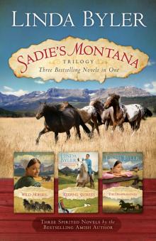 Sadie’s Montana Trilogy Read online