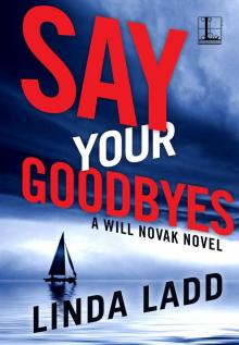 Say Your Goodbyes Read online