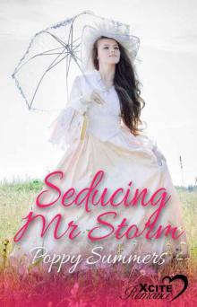 Seducing Mr Storm Read online