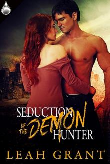 Seduction of the Demon Hunter