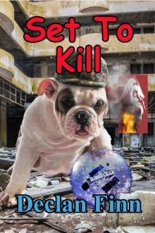 Set to Kill: A Sean AP Ryan Novel (Convention Killings Book 2) Read online
