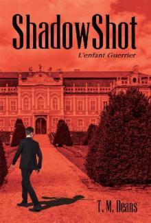 ShadowShot : L'enfant Guerrier Read online