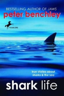 Shark Life: True Stories About Sharks & the Sea Read online