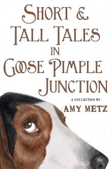 Short & Tall Tales in Goose Pimple Junction Read online