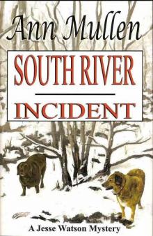 South River Incident Read online