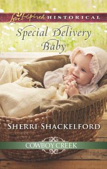 Special Delivery Baby Read online