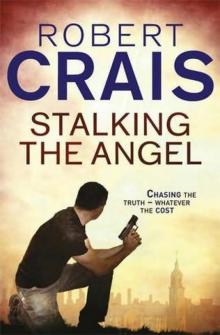 Stalking the Angel ec-2 Read online