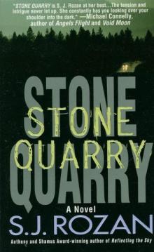 Stone Quarry Read online