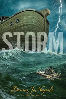 Storm Read online