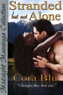 Stranded but not Alone (Midnight Moanings Collection) Read online