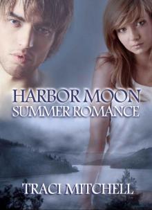 Summer Romance (Harbor Moon)