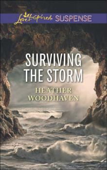 Surviving the Storm Read online