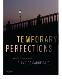 Temporary Perfections Read online