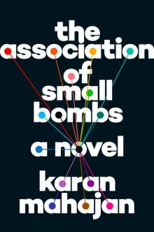 The Association of Small Bombs Read online