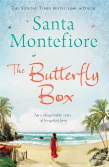 The Butterfly Box Read online