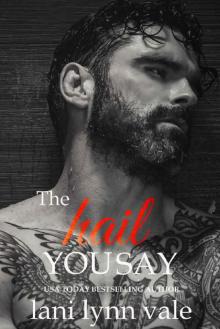 The Hail You Say (Hail Raisers Book 5)