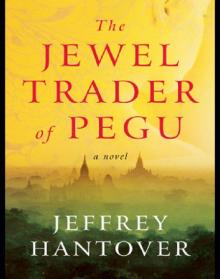 The Jewel Trader of Pegu Read online