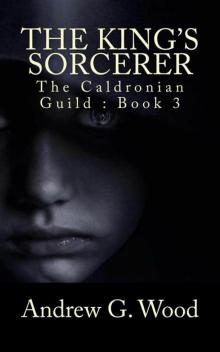 The King's Sorcerer (The Caldronian Guild Book 3) Read online