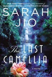 The Last Camellia: A Novel Read online