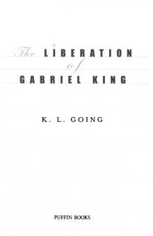 The Liberation of Gabriel King Read online