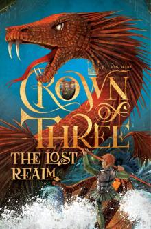The Lost Realm Read online