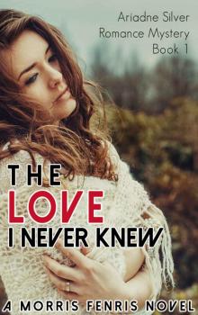 The Love I Never Knew: Contemporary Romance Mystery (Ariadne Silver Romance Mystery #1) Read online