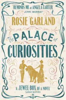 The Palace of Curiosities Read online