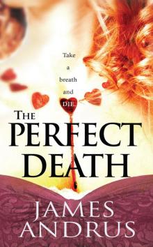 The Perfect Death djs-3 Read online