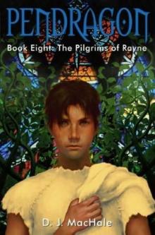The Pilgrims of Rayne tpa-8 Read online