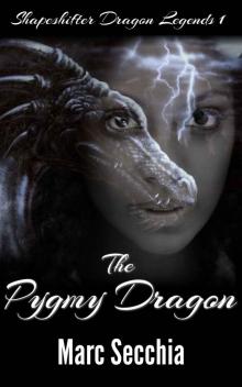 The Pygmy Dragon Read online