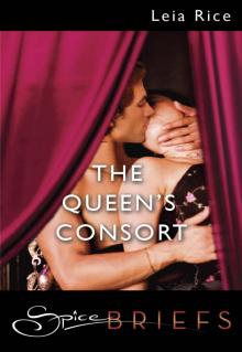 The Queen's Consort Read online