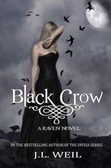 The Raven Series 2 Read online
