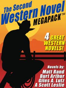 The Second Western Novel