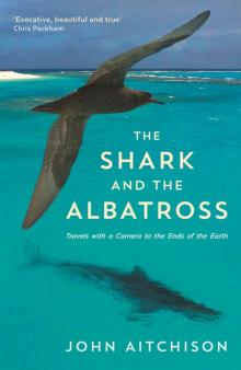 The Shark and the Albatross Read online