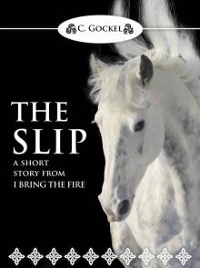 The Slip: I Bring the Fire 4.5 (A Short Story) Read online
