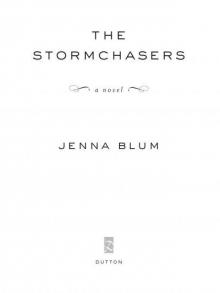 The Stormchasers: A Novel Read online