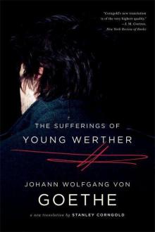 The Sufferings of Young Werther: A New Translation