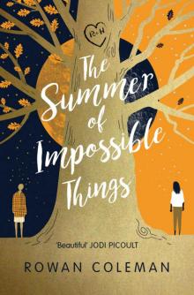 The Summer of Impossible Things Read online