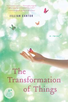 The Transformation of Things Read online