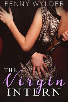 The Virgin Intern (A Romance Novella) Read online