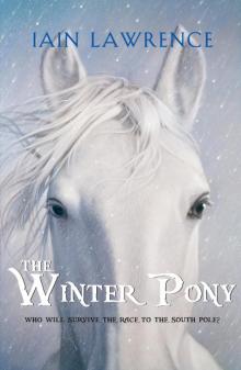 The Winter Pony Read online