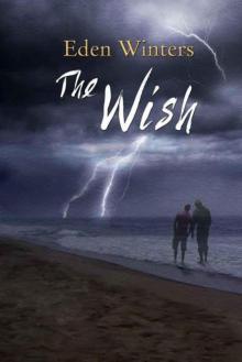The Wish Read online