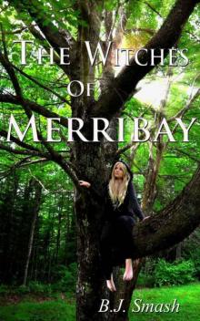The Witches of Merribay (The Seaforth Chronicles) Read online