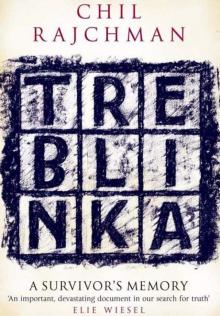 Treblinka Read online