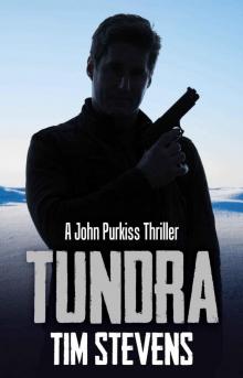Tundra Read online