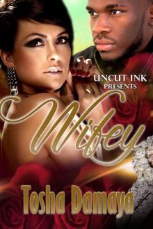 Wifey (Baby Momma Book 3) Read online