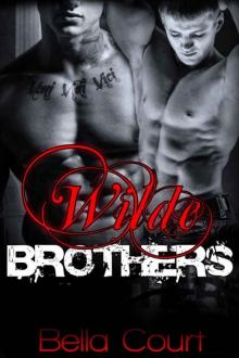 Wilde Brothers Read online