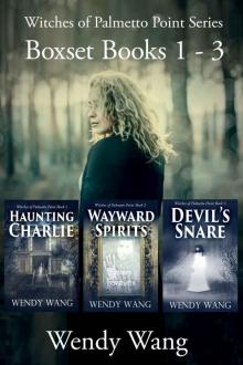 Witches of Palmetto Point Series Boxset Books 1 - 3: Haunting Charlie, Wayward Spirits and Devil's Snare Read online