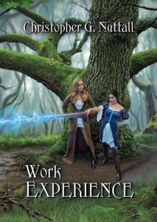 Work Experience (Schooled in Magic Book 4)